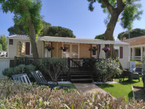 Mobile home 64467 TyBreizh Holidays at La Carabasse 4 star without fun pass